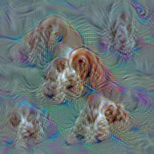 n02102040 English springer, English springer spaniel